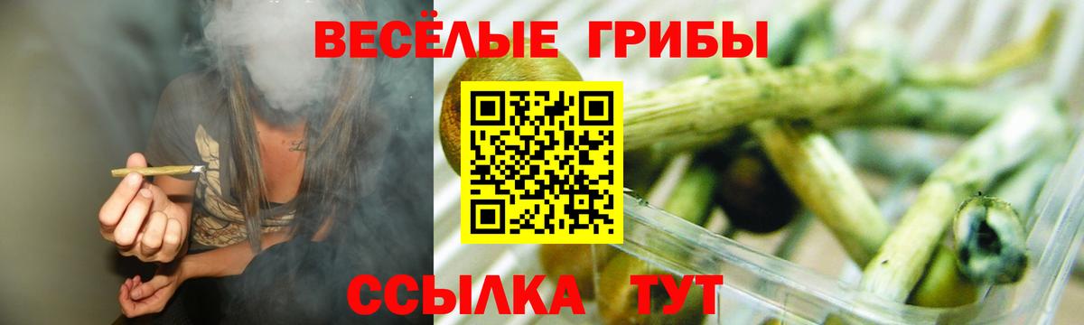 Всеволожск  Псилоцибиновые грибы Magic Shrooms  Вход с VPN  Псилоцибиновые грибы Psilocybe 